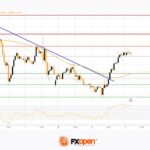 fxopen2025021221