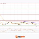 fxopen2025021222