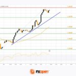 fxopen2025030511