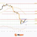 fxopen2025030512