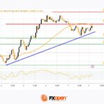 fxopen2025031011