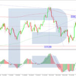 roboforex2025080611