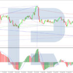 roboforex2025082011