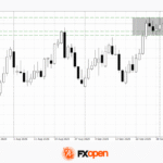 fxopen2025100212