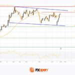 fxopen2025100611