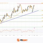 fxopen2025100612