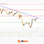 fxopen2025101321