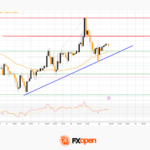 fxopen2025101322