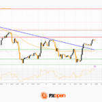 fxopen2025101511