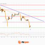 fxopen2025101512
