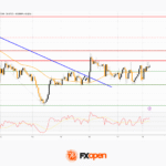 fxopen2025102022