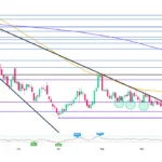 marketpulse2025100414