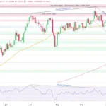 marketpulse2025101422