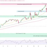 marketpulse2025101624