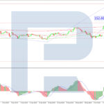 roboforex2025100811