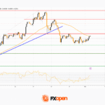 fxopen2025110311