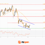 fxopen2025110312