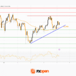 fxopen2025110711