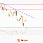 fxopen2025110712