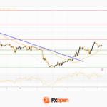 fxopen2025111011