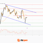 fxopen2025111012