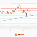 fxopen2025111711