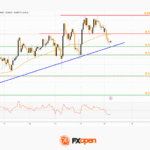 fxopen2025111712