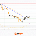 fxopen2025111911