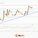 fxopen2025111912