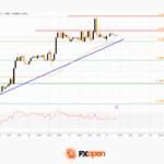 fxopen2025112412