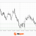 fxopen2025112512