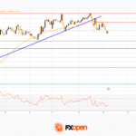 fxopen2025112622