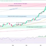 marketpulse2025111934