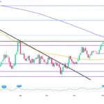 marketpulse2025112243