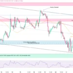 marketpulse2025112614