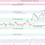 marketpulse2025112633