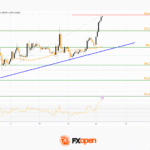 fxopen2025122211