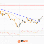 fxopen2025122212