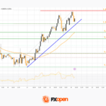 fxopen2025122411