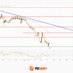 fxopen2025122412