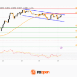fxopen2025122912