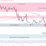 marketpulse2025120224