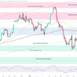 marketpulse2025120234