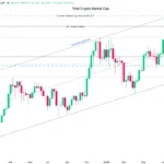 marketpulse2025120242