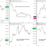 marketpulse2025121621