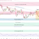 marketpulse2025121714