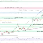 marketpulse2025122314