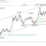 marketpulse2025122912