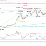 marketpulse2025122918