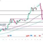 marketpulse2025122923